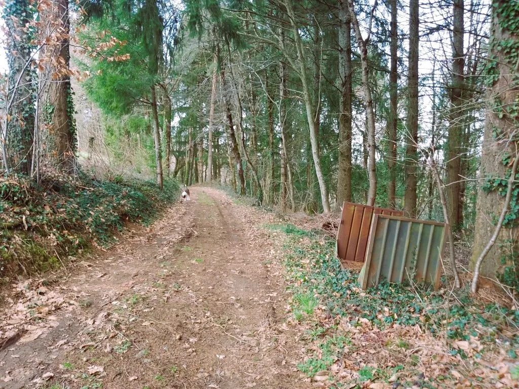 MAISON EN PIERRE ANCIENNE