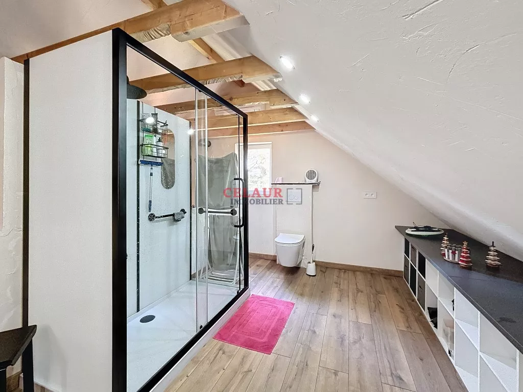 MAISON EN PIERRE R&Eacute;NOV&Eacute;E AVEC GRANGE, HANGARS, BATIMENT DE STOCKAGE ET TERRAIN