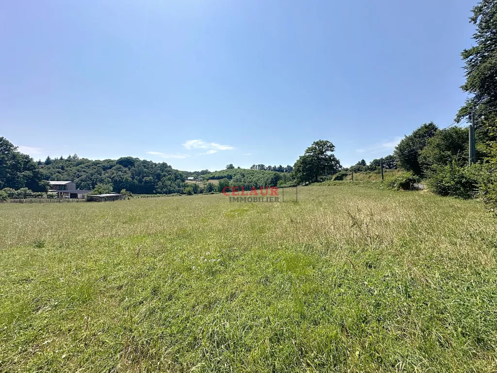 Terrain d&rsquo;1 hectare - bourg de Chameyrat